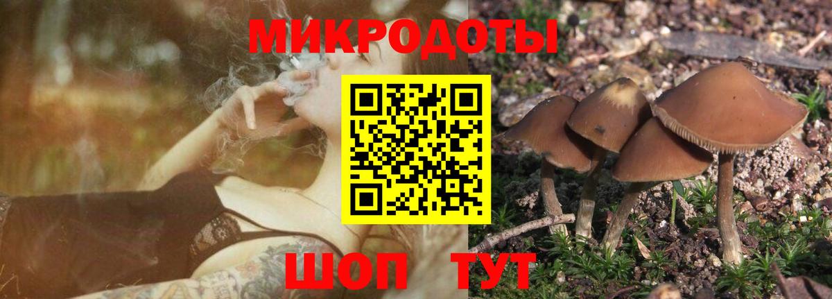 Псилоцибиновые грибы мицелий Ижевск