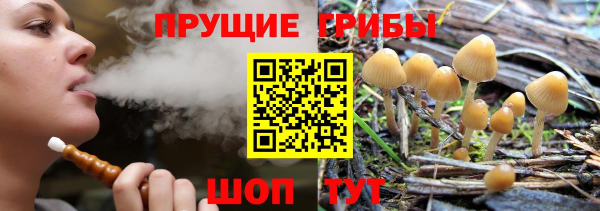 Ижевск  купить закладку  Вход с VPN  Псилоцибиновые грибы MAGIC MUSHROOMS 